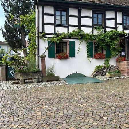 Exklusive Maisonette-Wohnung Am Rande Von Freiburg Merzhausen Екстер'єр фото