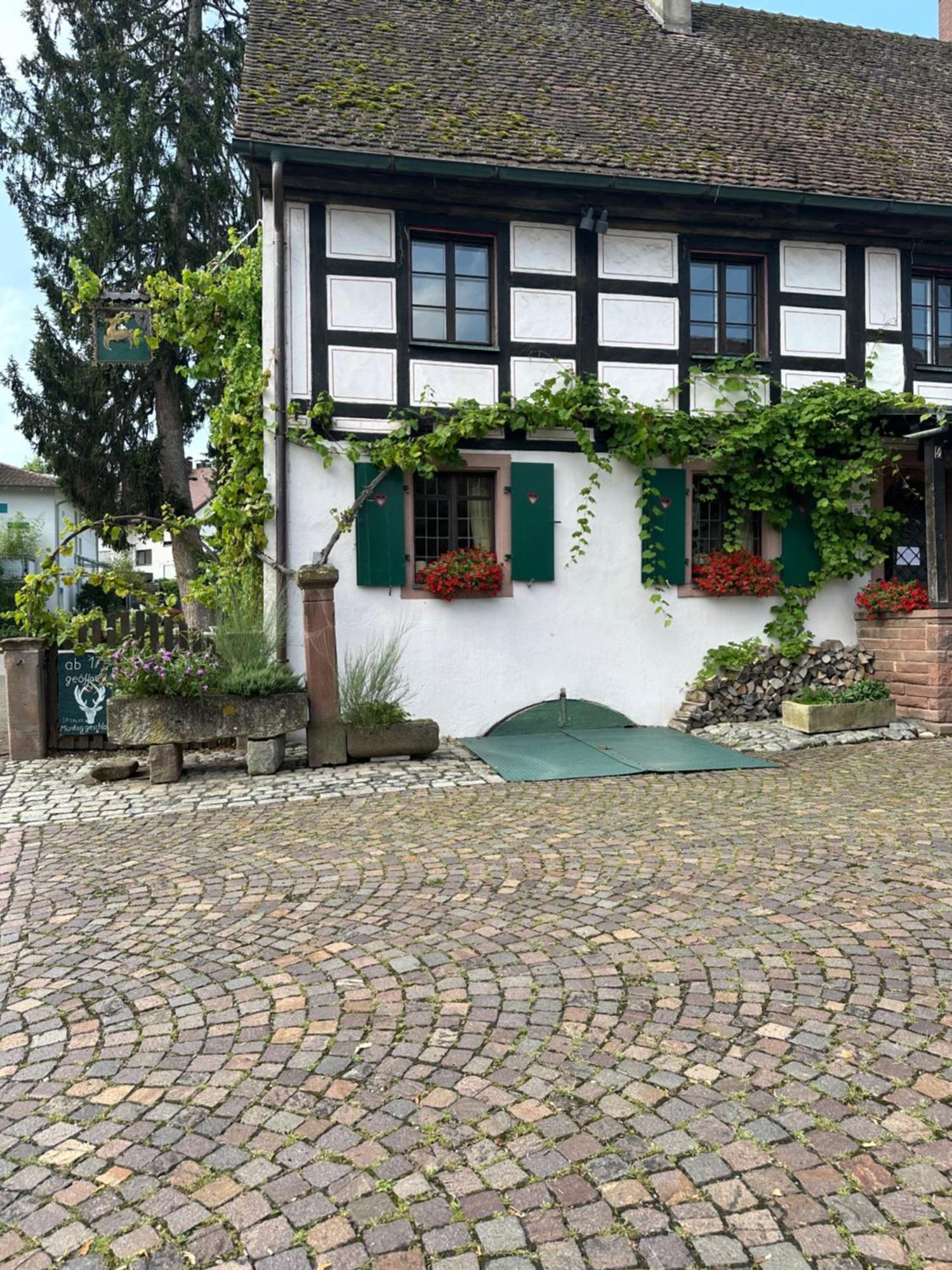 Exklusive Maisonette-Wohnung Am Rande Von Freiburg Merzhausen Екстер'єр фото